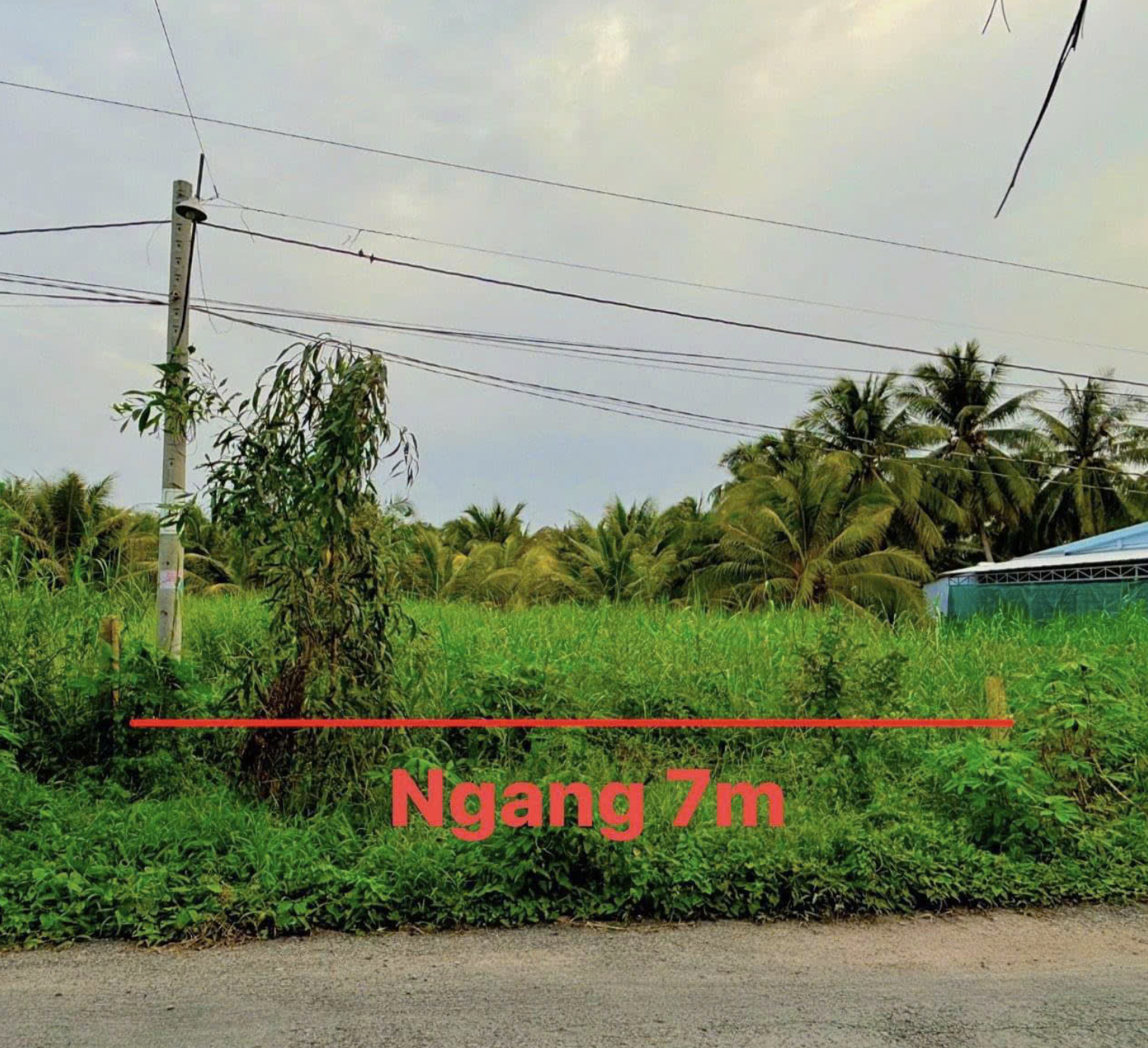 Đất Nền Chợ Gạo Tiền Giang 